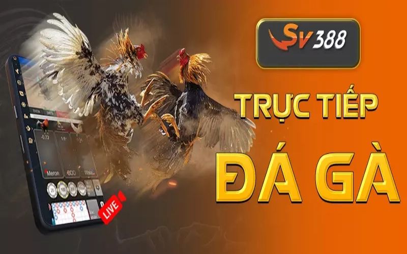 Giới Thiệu Về sv388 Casino